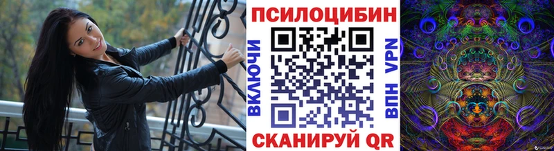 Галлюциногенные грибы Psilocybe  Купить  Сельцо 